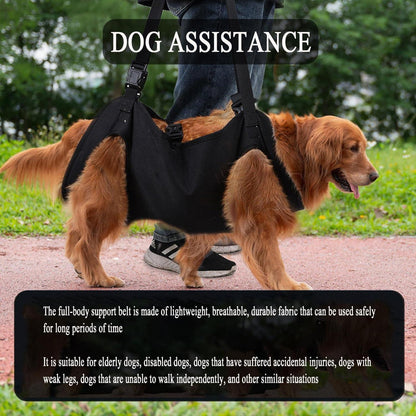 Verstellbares Hundegeschirr XL – Tragehilfe & Gehhilfe