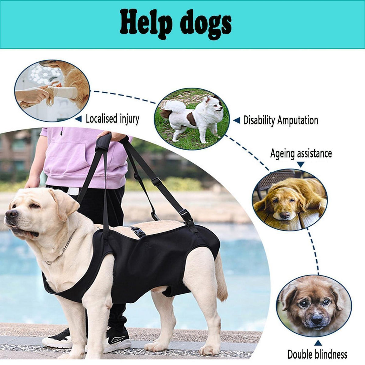 Verstellbares Hundegeschirr XL – Tragehilfe & Gehhilfe