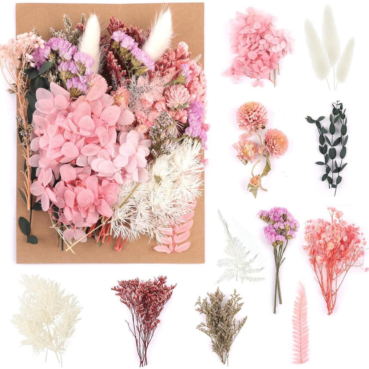 Getrocknete Blumen Set – Pink für DIY Deko & Kunsthandwerk