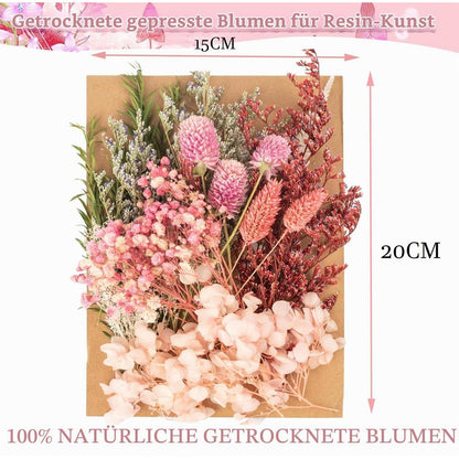 Getrocknete Blumen Set – Pink für DIY Deko & Basteln