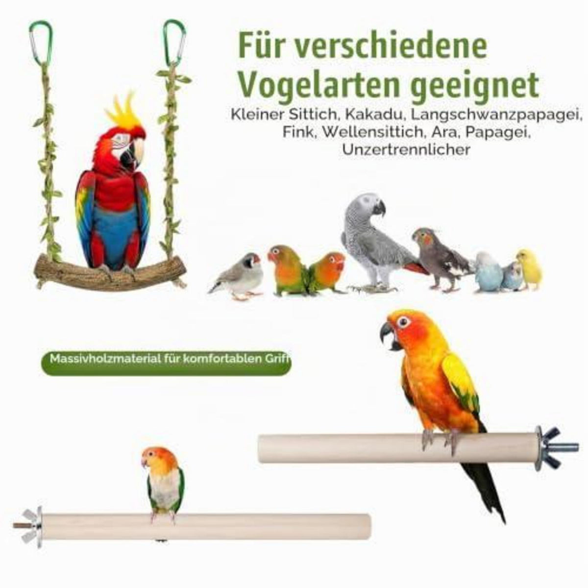 4x Wellensittich Spielzeug – Schaukel & Sitzstangen aus Holz