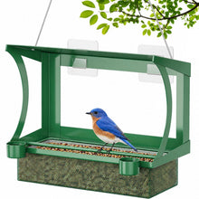 2-in-1 Vogelfutterhaus Fenster & Hängend | Wetterfest & Ohne Bohren