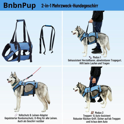 2-in-1 Hundegeschirr Gehhilfe – Größe L – Für Senioren & Gelenke