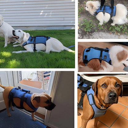 2-in-1 Hundegeschirr Gehhilfe – Größe L – Für Senioren & Gelenke