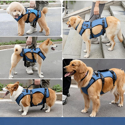 2-in-1 Hundegeschirr Gehhilfe – Größe L – Für Senioren & Gelenke