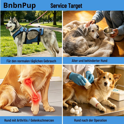 2-in-1 Hundegeschirr Gehhilfe – Größe L – Für Senioren & Gelenke