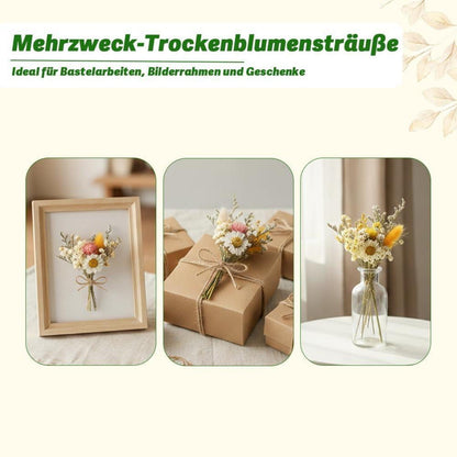 Gelber Mini Trockenblumenstrauß 6er Set Boho Deko Hochzeit