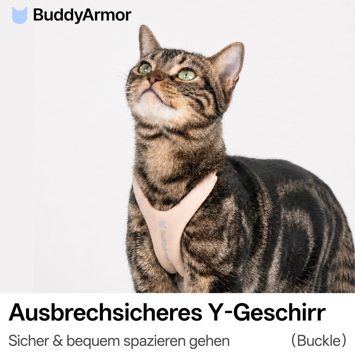 Ausbruchsicheres Katzengeschirr Y-Form Naturfarbe M