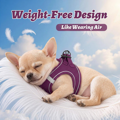 HEELE Hundegeschirr Mesh Lila – Weich & Verstellbar